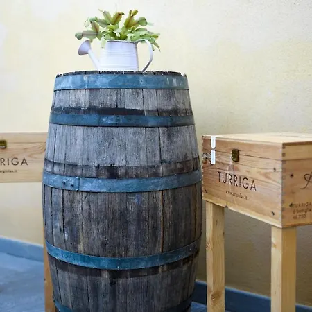 Domus Alba Con Giardino Esclusivo * Sorso
